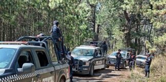 Implementan Autoridades de Tlaxcala y Puebla Operativo Contra la Tala Ilegal en la Malinche- AlternativaTlx