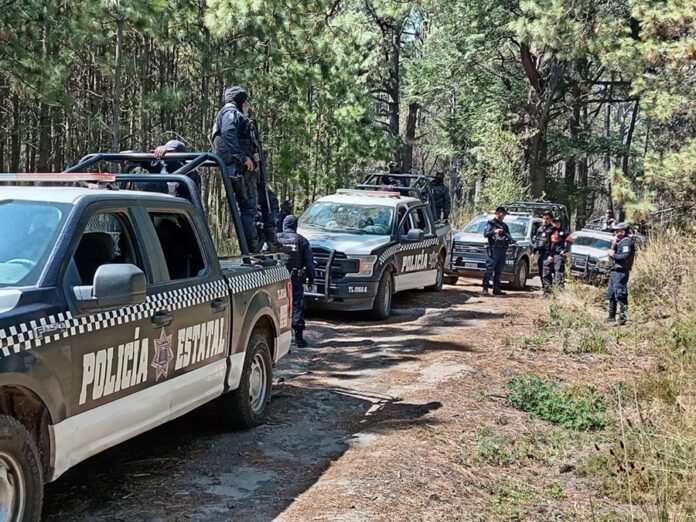 Implementan Autoridades de Tlaxcala y Puebla Operativo Contra la Tala Ilegal en la Malinche- AlternativaTlx