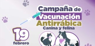 Inicio de Campaña de Vacunación Antirrábica Canina y Felina Gratuita en Zacatelco- AlternativaTlx