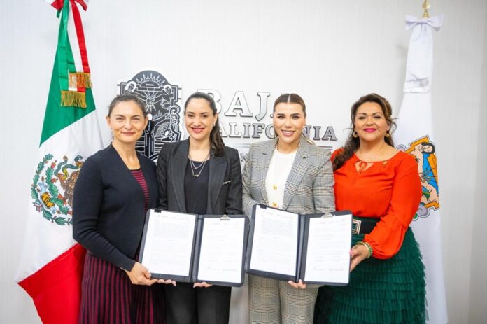 La Secretaría de Cultura del Gobierno de México y Baja California Firman Convenio para Impulsar el Arte y Cultura de los Pueblos Originarios y Afromexicanos - AlternativaTlx