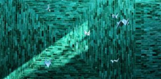 Las “Aves de México” Vuelan a Marruecos - AlternativaTlx