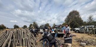 Logran Detenciones y Decomisos con Operativo Especial en la Malinche- AlternativaTlx 