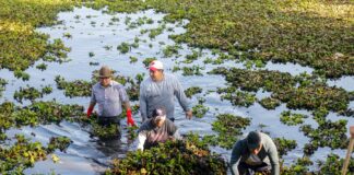 Primera Jornada de Limpieza en la Presa de Acomulco Llama a la Concienciación Ambiental- AlternativaTlx