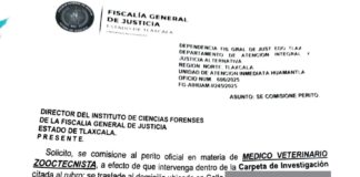 Reportan Abuso a la OCPA- AlternativaTlx