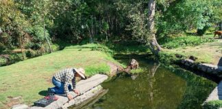 Rescate de los Cuerpos de Agua en Zacatelco a través de Análisis de Agua- AlternativaTlx