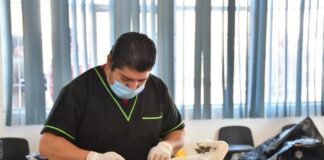 Tendrá Huamantla Nueva Campaña de Esterilización Gratuita para Perros y Gatos- AlternativaTlx
