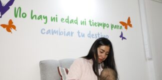 Trabaja Refugio para Mujeres Víctimas de Violencia Todos los Días en la Protección y Defensa de sus Derechos- AlternativaTlx