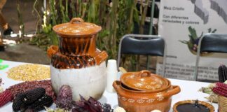 Celebran el Día de la Cocina Tlaxcalteca en Chiautempan- AlternativaTlx  