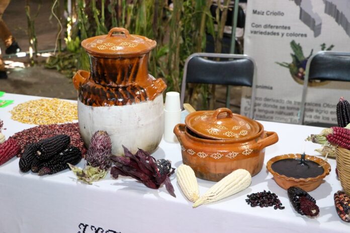 Celebran el Día de la Cocina Tlaxcalteca en Chiautempan- AlternativaTlx  