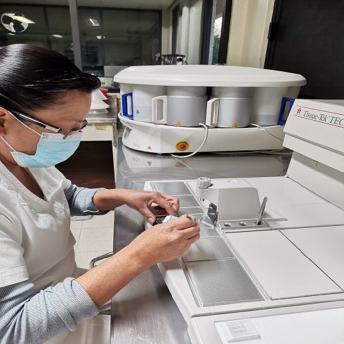 Con Tecnología Avanzada, el ITAES Ofrece Análisis en Laboratorio de Patología- AlternativaTlx 