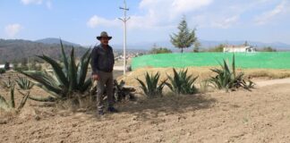 Contribuye FOMTLAX al Fortalecimiento del Campo Tlaxcalteca- AlternativaTlx  