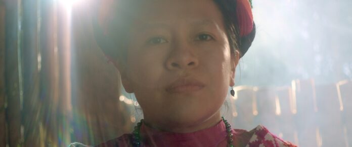 Del Cielo al Cine Bajudh, La Historia de la Primera Voladora Tének – AlternativaTlx