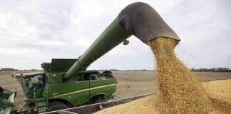Desencadenarán Aranceles Agroalimentarios Recesión en el Campo - AlternativaTlx