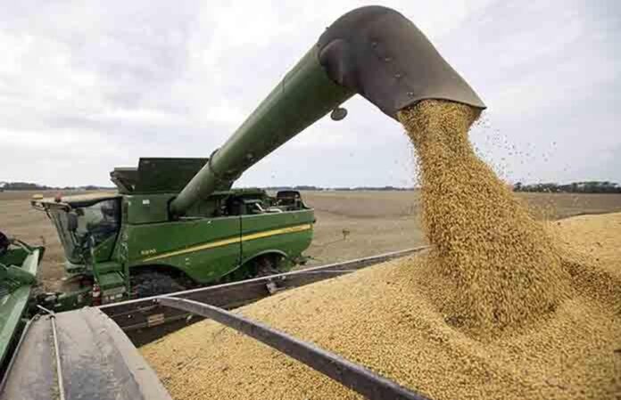 Desencadenarán Aranceles Agroalimentarios Recesión en el Campo - AlternativaTlx