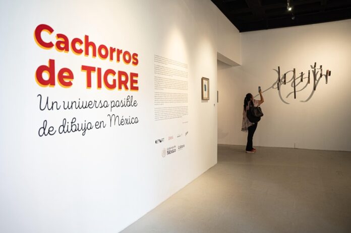 Diálogo de Generaciones en “Cachorros de Tigre. Un Universo Posible de Dibujo en México” - AlternativaTlx