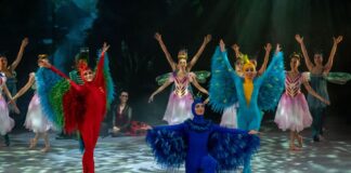El “Carnaval de los Animales. El Canto de los Cisnes” Inicia Temporada en el Centro Cultural del Bosque - AlternativaTlx