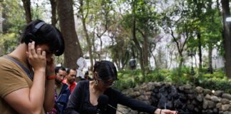 El Sonido de la Naturaleza se escucha en “Bosque Adentro” - AlternativaTlx