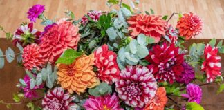 Gobierno de Huamantla Invita al Curso de Elaboración de Arreglo Florales que Impartirá el ICATLAX- AlternativaTlx 