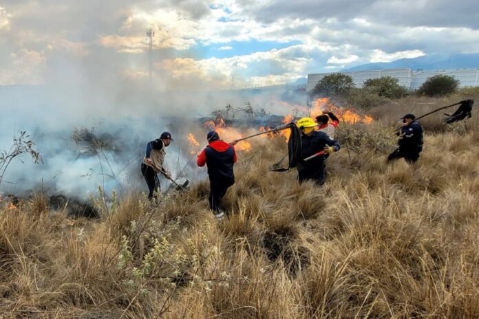 Gobierno de Huamantla Refuerza Acciones para Prevenir Incendios de Pastizales y Forestales Gobierno de Huamantla Refuerza Acciones para Prevenir Incendios de Pastizales y Forestales- AlternativaTlx