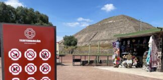 La Zona Arqueológica de Teotihuacan Luce Nueva Imagen Gráfica en Cédulas y Señalética - AlternativaTlx