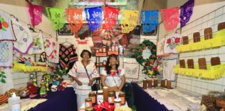 Lanza SEDECO Campaña de Precio Diferencial para Registro de Marca- AlternativaTlx 