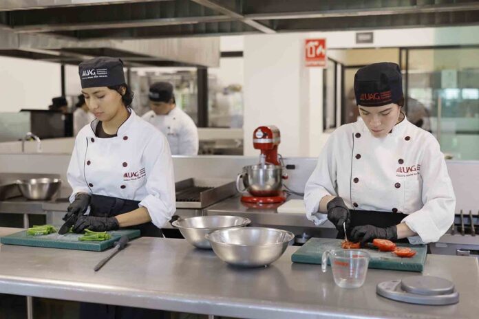 Los negocios gastronómicos van más allá de solo preparar alimentos - AlternativaTlx