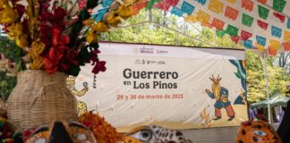 Más de 15 Mil Personas Disfrutan de la Cuarta Edición de “Guerrero en los Pinos” - AlternativaTlx