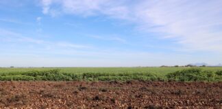 México Arriesga El 14 % de su Economía Peligra El Valor Agroalimentario Integrado por Campo, Industria y Comercio Nexusagronegocios - AlternativaTlx