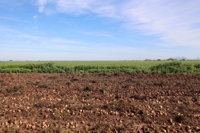 México Arriesga El 14 % de su Economía Peligra El Valor Agroalimentario Integrado por Campo, Industria y Comercio Nexusagronegocios - AlternativaTlx