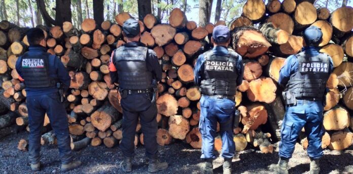 Nueva Acción Coordinada entre Tlaxcala y Puebla Arroja Resultados Positivos en Materia de Delitos Ambientales - AlternativaTlx