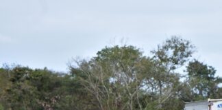 Programa Bachetón Presenta un avance del 85% en la atención a la Red Carretera Federal - AlternativaTlx