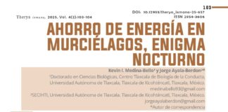 Publican investigadores de la UATx artículo de divulgación sobre los mecanismos de supervivencia del murciélago - AlternativaTlx