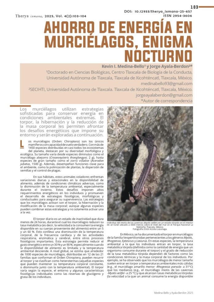 Publican investigadores de la UATx artículo de divulgación sobre los mecanismos de supervivencia del murciélago - AlternativaTlx