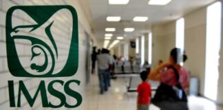 Puestos de Trabajo afiliados al Instituto Mexicano del Seguro Social - AlternativaTlx