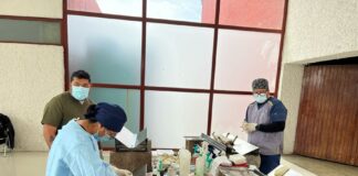 Realiza Sector Salud 500 Esterilizaciones de Perros y Gatos- AlternativaTlx  