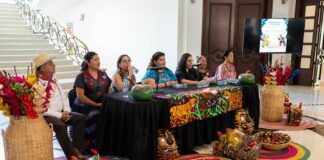 Regresa Guerrero en los Pinos. En 2025 Celebrará a las Mujeres Indígenas - AlternativaTlx