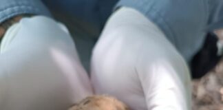 AZCARM pone en marcha Observatorio Ciudadano para Evitar Muerte Masiva de Monos Saraguatos en el Sureste de México - AlternativaTlx