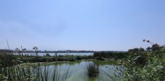 Acuerdan Trabajo Coordinado para Evitar Descargas en la Laguna de Acuitlapilco- AlternativaTlx 