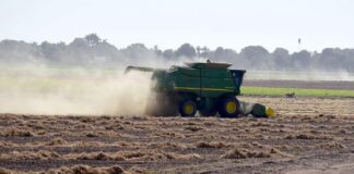 Agrónomos Egresados de UAM-Xochimilco, ofrecen participar en Programas de Productividad en Alimentos del Campo - AlternativaTlx