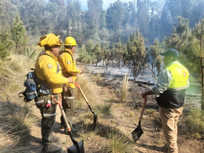 CEPC Emite Recomendaciones Para Prevenir Incendios Forestales- AlternativaTlx 