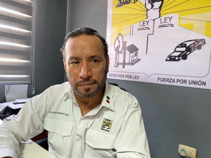 Celebran Reinicio de Pagos a Maiceros y Exigen Defensa del Tomate Mexicano - AlternativaTlx