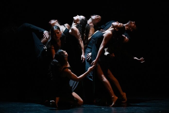 Concerto Grosso Cuando el Cuerpo se convierte en Música y la Danza en Rebelión - AlternativaTlx