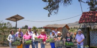 Entrega Secretaría de Bienestar Plántulas a Beneficiarios de Módulos de Autosuficiencia Alimentaria- AlternativaTlx  