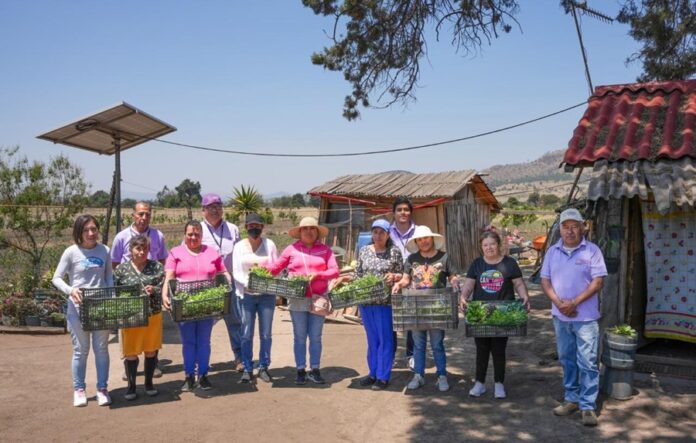 Entrega Secretaría de Bienestar Plántulas a Beneficiarios de Módulos de Autosuficiencia Alimentaria- AlternativaTlx  