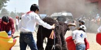Gobierno Municipal Abre Convocatoria para el Festejo Taurino Infantil del Día del Niño en Huamantla- AlternativaTlx  