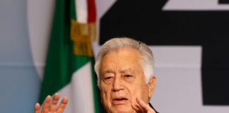 Impunidad en Contratos de Renta de Vehículos Opera en Diversos Estados - AlternativaTlx
