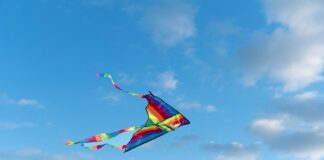 Invita Gobierno de Huamantla a Participar en el Concurso “Juguemos a Volar Papalotes”- AlternativaTlx 