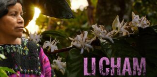 Li Chamb, Documental que Visibiliza a las Mujeres Indígenas en su Lucha por la Independencia y la Esperanza - AlternativaTlx