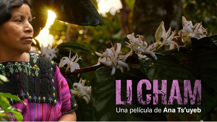 Li Chamb, Documental que Visibiliza a las Mujeres Indígenas en su Lucha por la Independencia y la Esperanza - AlternativaTlx