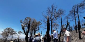 Obtienen Información Positiva para Reforestación tras Recorrido por Altzayanca- AlternanivaTlx